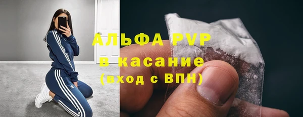 дживик Гусев