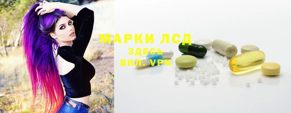 дживик Гусев