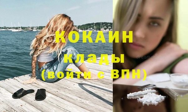 дживик Гусев