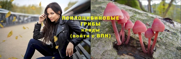 2c-b Гусь-Хрустальный