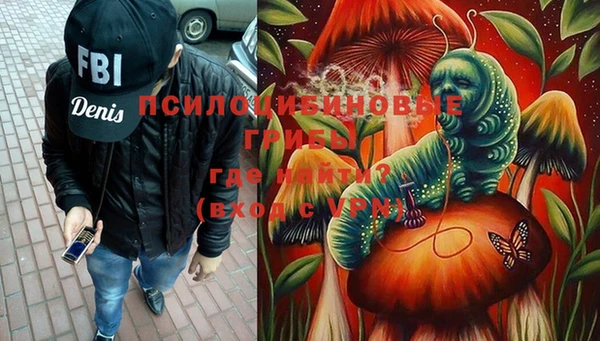 марихуана Гусиноозёрск
