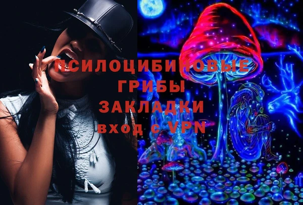 дживик Гусев