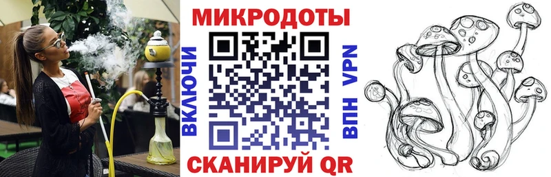 Купить  Кудымкар  Галлюциногенные грибы Psilocybine cubensis 