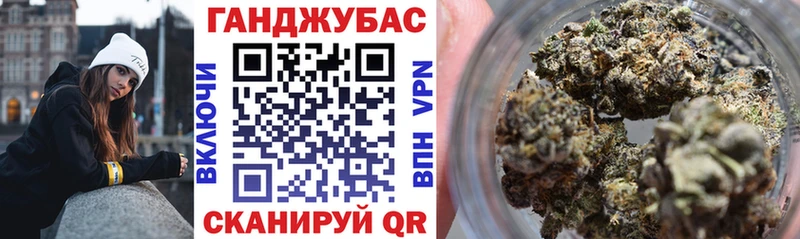 Бошки марихуана Amnesia Купить где Кудымкар